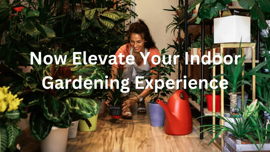 Now elevate Your Indoor Gardening Experience
